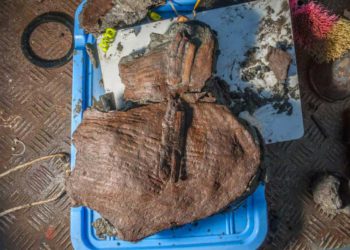 Hallan cestas con frutas del siglo IV a.C. en una ciudad egipcia sumergida