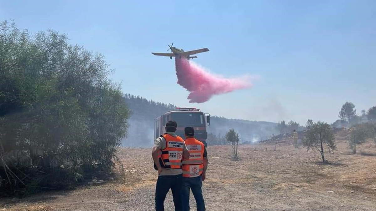 Incendio estalla cerca de Jerusalén: Bomberos logran controlar el fuego