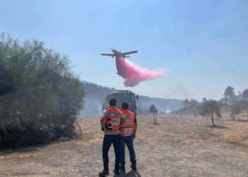 Incendio estalla cerca de Jerusalén: Bomberos logran controlar el fuego
