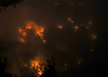 Incendio masivo en Jerusalén: Bomberos logran controlar las llamas