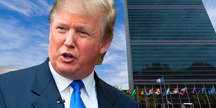 La ONU debió contratar a Donald J. Trump en 2005