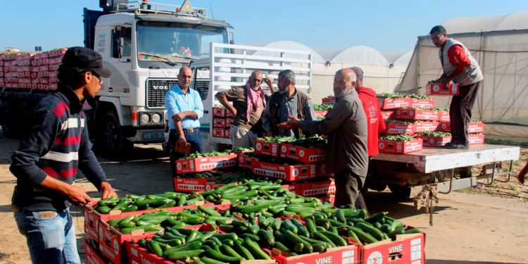 Israel permitirá la entrada de comerciantes de Gaza por primera vez en 18 meses