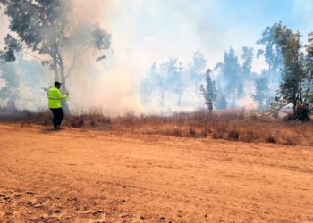 Globos incendiarios de Gaza provocan dos incendios en el sur de Israel