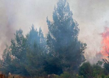 Evacuación de un barrio de Jerusalén por un incendio fuera de control