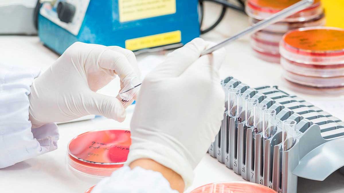 Científicos israelíes descubren que las “mutaciones silenciosas” pueden ayudar a detectar el cáncer