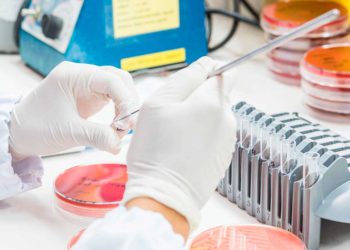 Científicos israelíes descubren que las “mutaciones silenciosas” pueden ayudar a detectar el cáncer