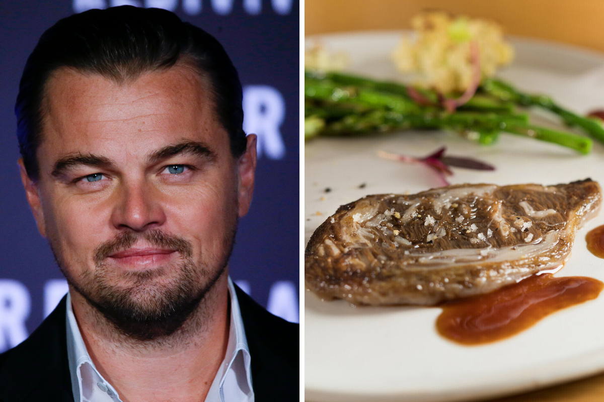 Leonardo DiCaprio invierte en la empresa israelí de carne cultivada Aleph Farms