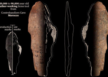 Los arqueólogos descubren que la ropa se inventó hace 120.000 años