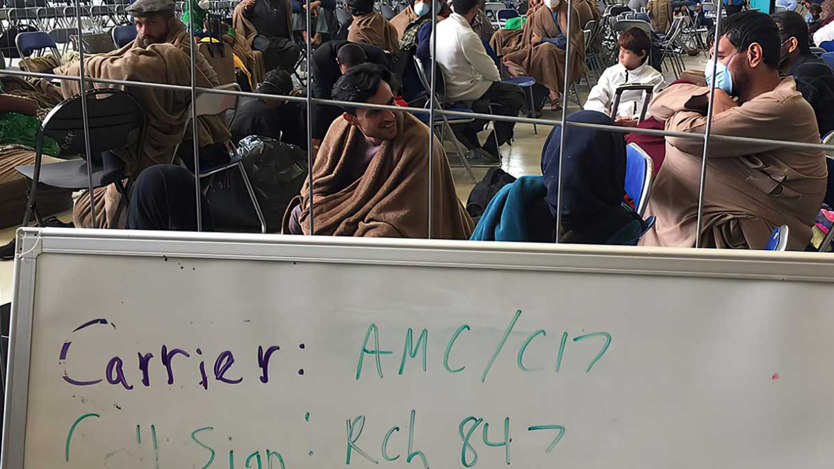 100 refugiados afganos señalados por posibles vínculos con el terrorismo - Reporte