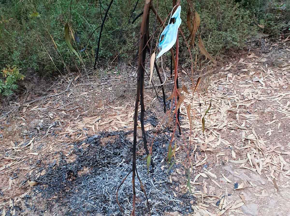 Incendio forestal cerca de Jerusalén continúa ardiendo fuera de control