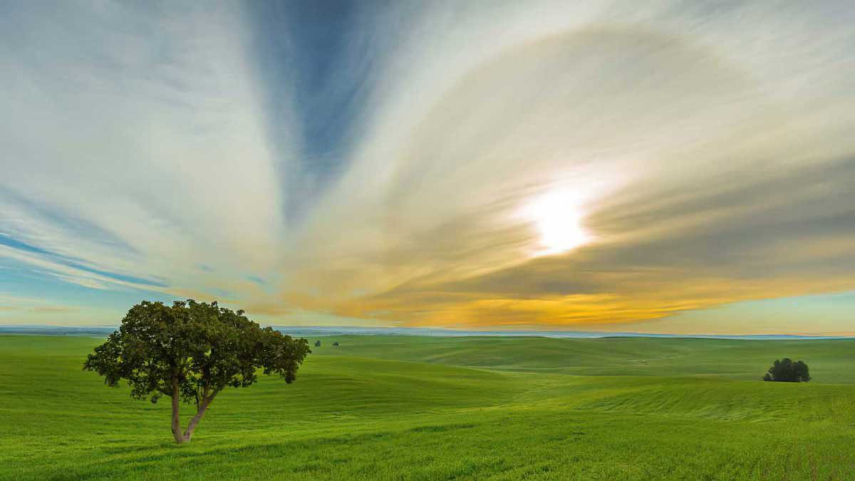 Nuevo estudio revela que la naturaleza aporta miles de millones a la economía de Israel