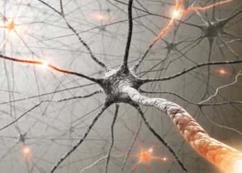 Científicos israelíes utilizan “partículas GPS” para reducir crecimiento de tumores cancerígenos en ratones