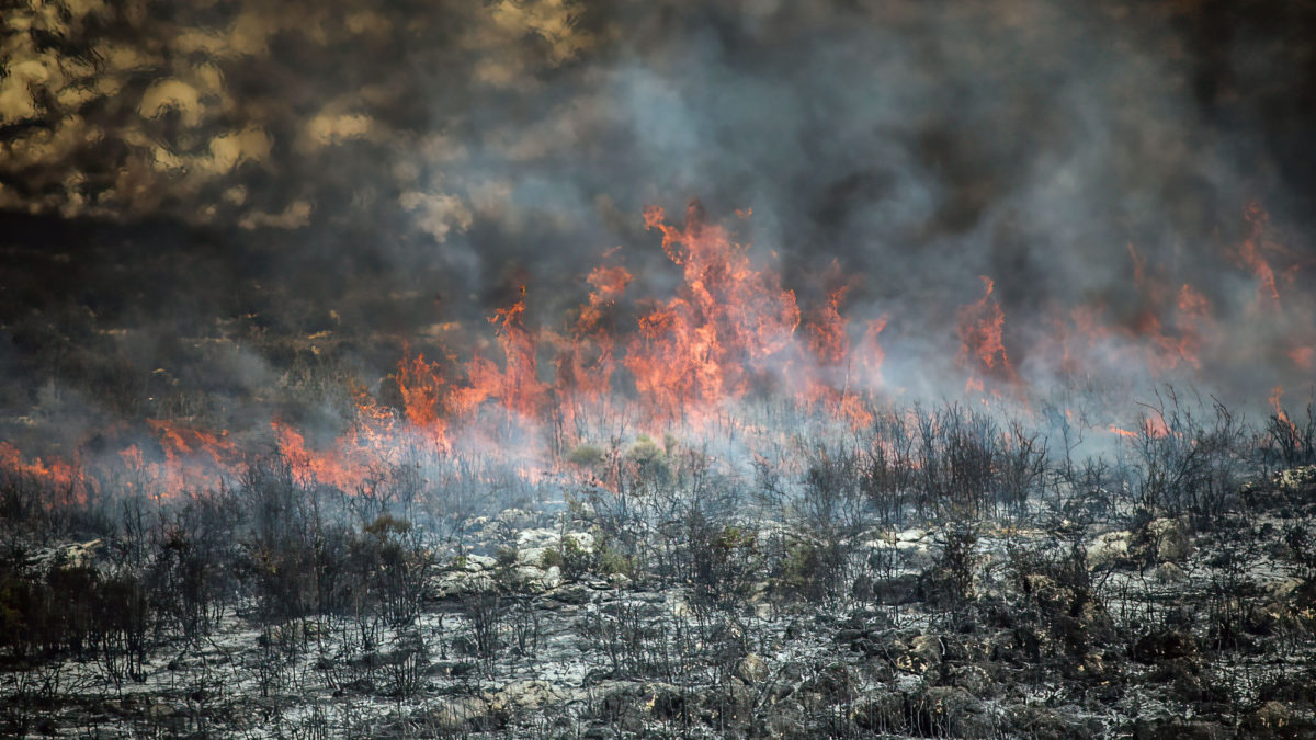 Siria ejecuta a 24 personas por provocar incendios forestales mortales