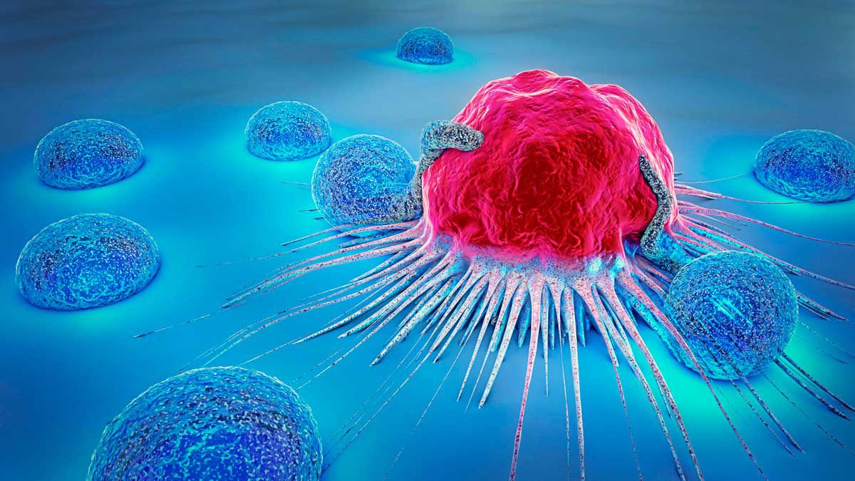 Estudio israelí sobre el cáncer revela un posible avance en inmunoterapia