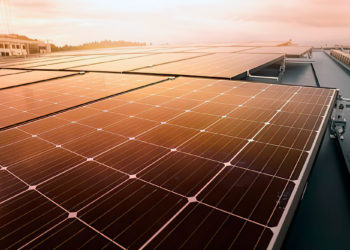La energía solar ha tenido un año de éxito a pesar de la pandemia