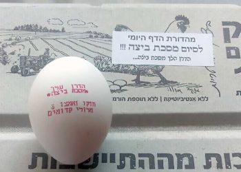 Granja de pollos se une al festejo de los estudiantes del Talmud