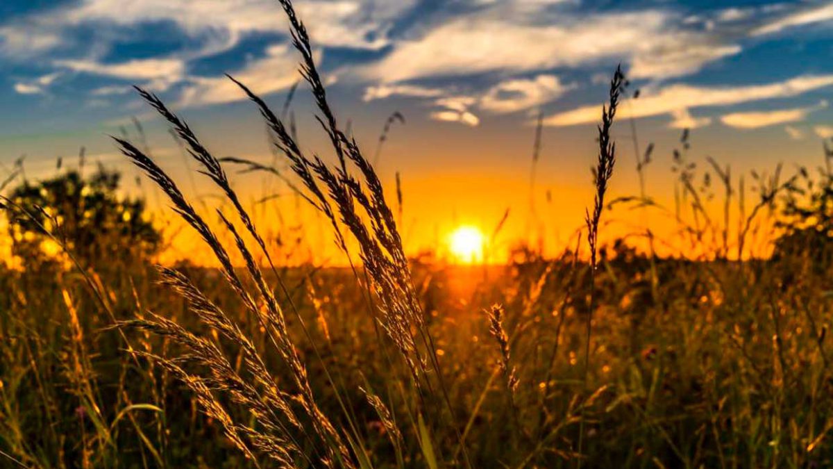 Científicos israelíes identifican la fría transición a la agricultura al final de la última edad de hielo