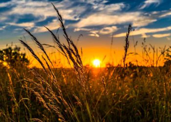 Científicos israelíes identifican la fría transición a la agricultura al final de la última edad de hielo