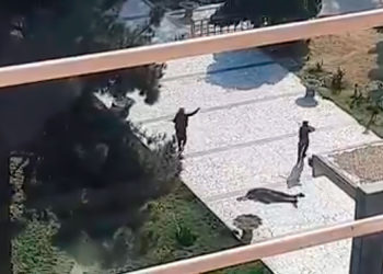Atentado suicida y a tiros en hospital militar en Kabul: 19 muertos