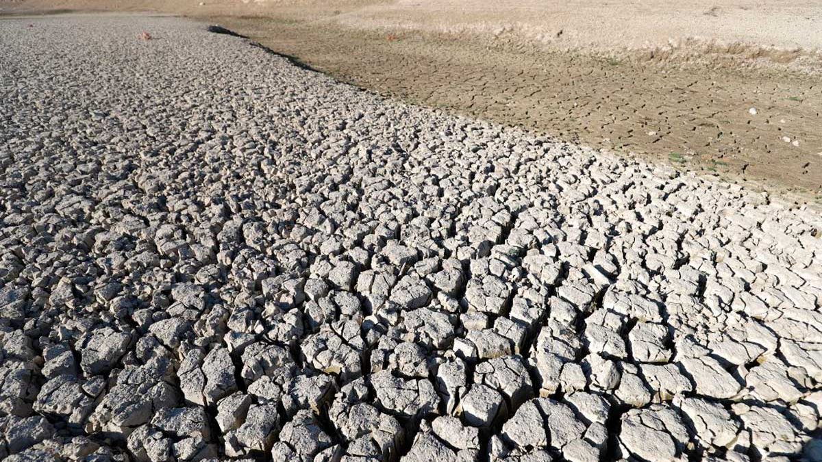 La sequía en Siria pone en peligro el sustento de los agricultores