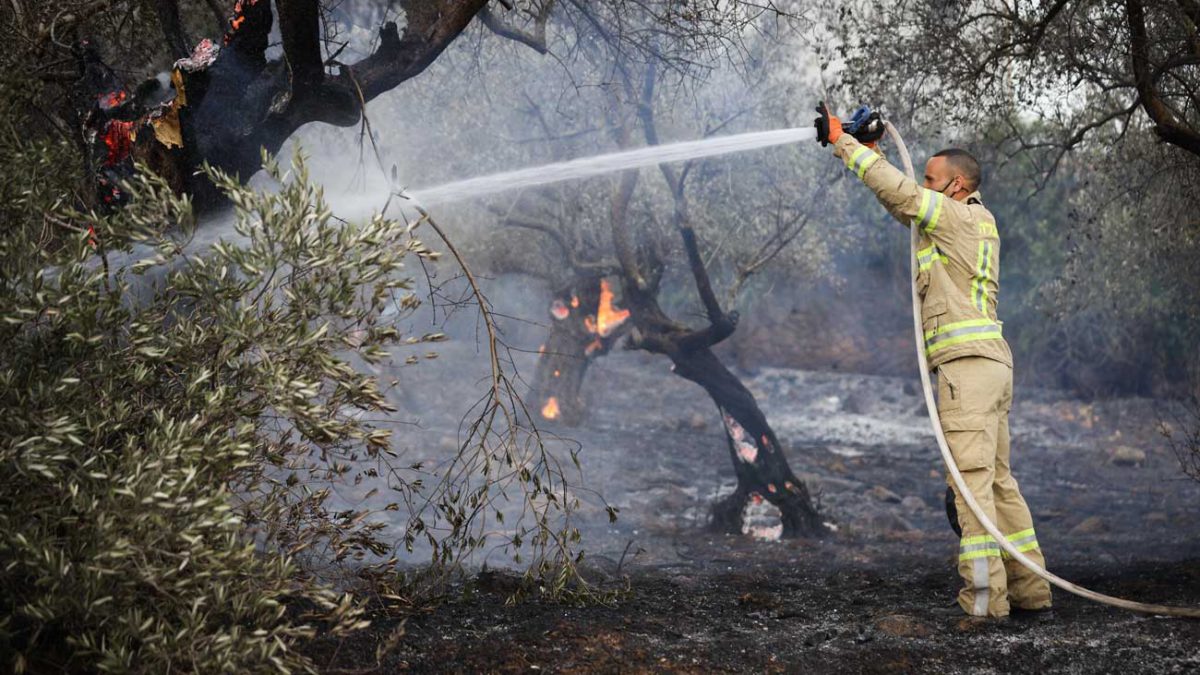 El clima seco en Israel podría provocar incendios forestales devastadores