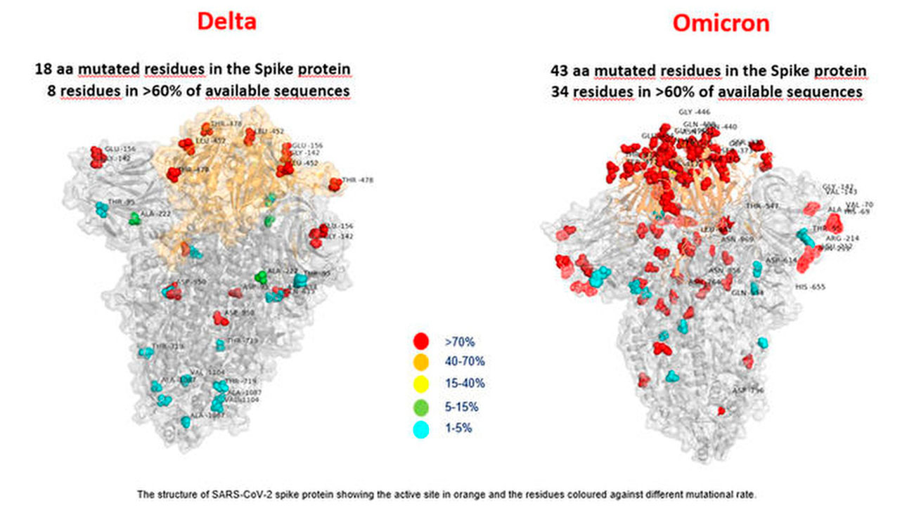 COVID-19: La variante Ómicron tiene muchas más mutaciones que Delta