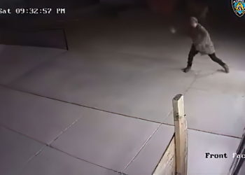 Un hombre de Nueva Jersey condenado a un año de prisión por ordenar ataques a sinagogas
