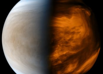 ¿Vida en Venus? Una misión privada explorará el planeta en busca de vida