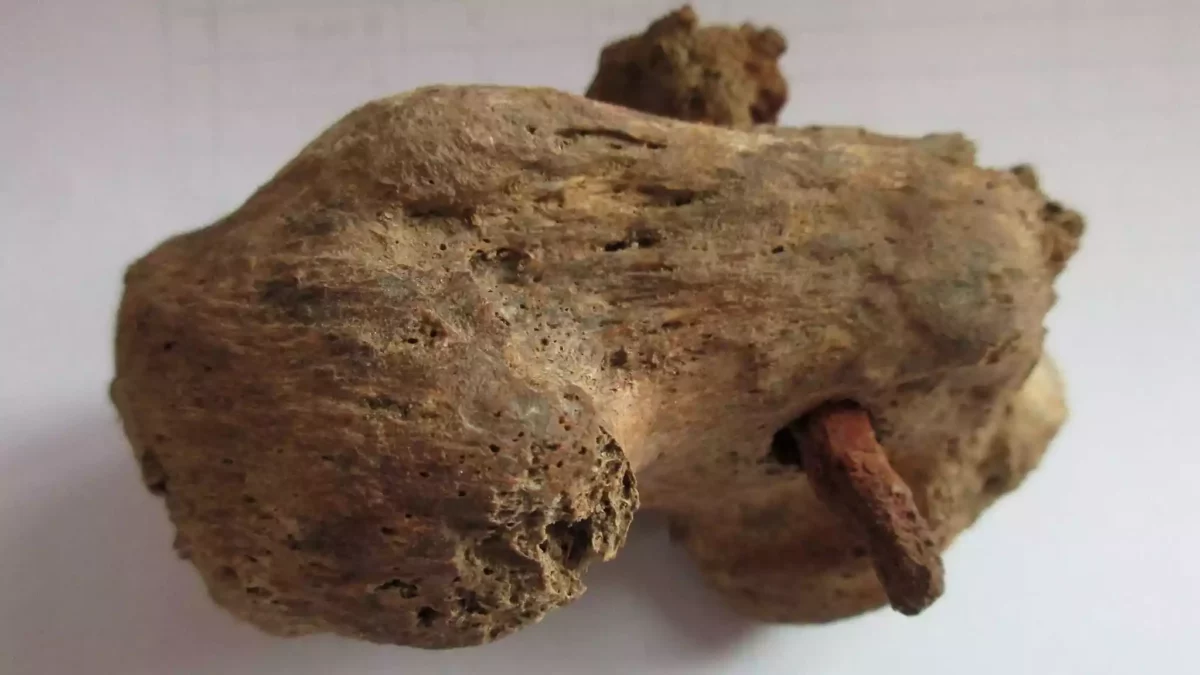 Rara evidencia de crucifixión romana desenterrada en el Reino Unido