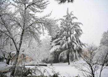 La nieve se acumula en Los Altos del Golán