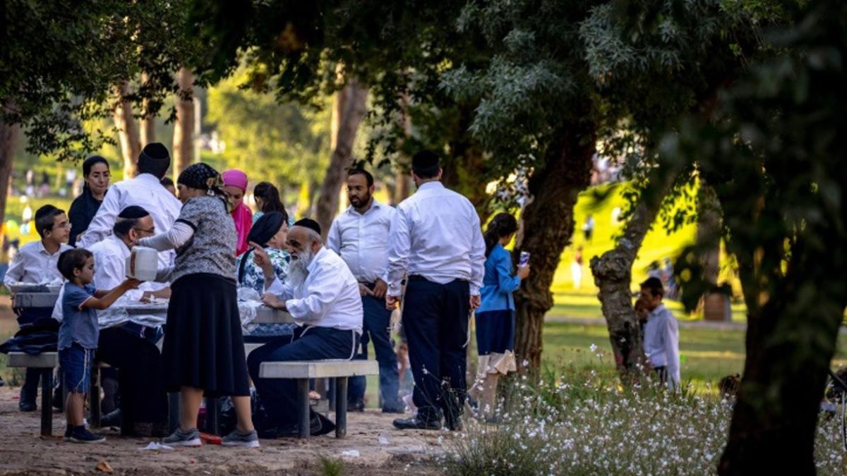 Israel plantará 450 mil árboles urbanos para contrarrestar el aumento del calor