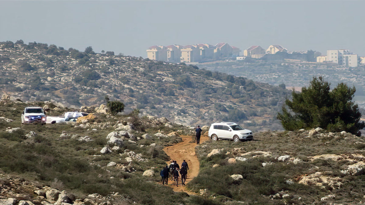 Árabes destruyen cientos de plantones en la región de Binyamin