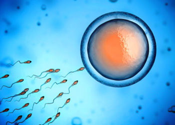 Laboratorio israelí rejuvenecerse óvulos humanos al final de su edad fértil