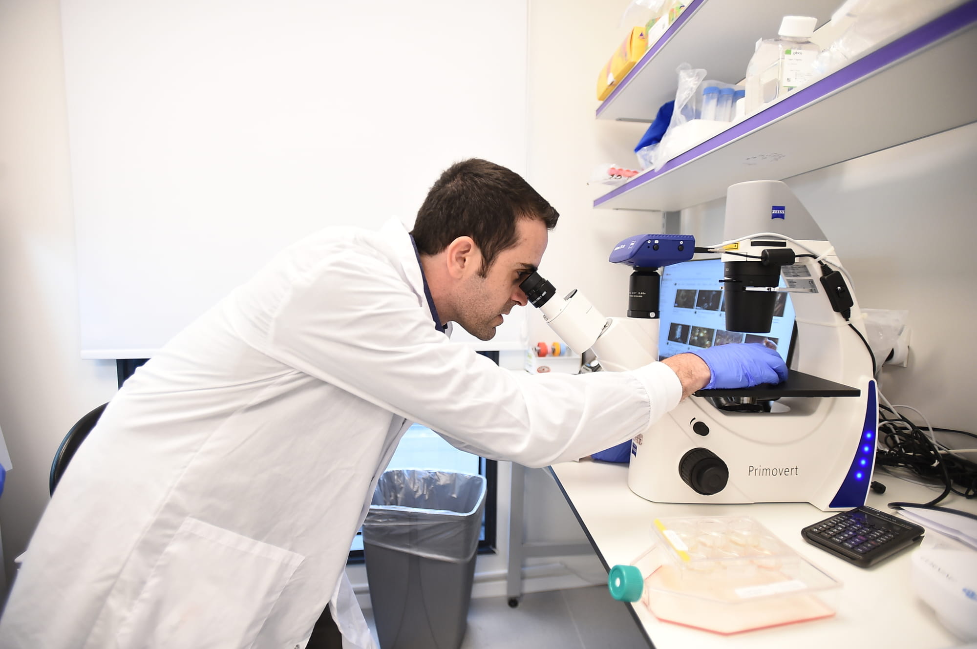 Empresa israelí Wilk producirá leche cultivada para bebés sin usar animales