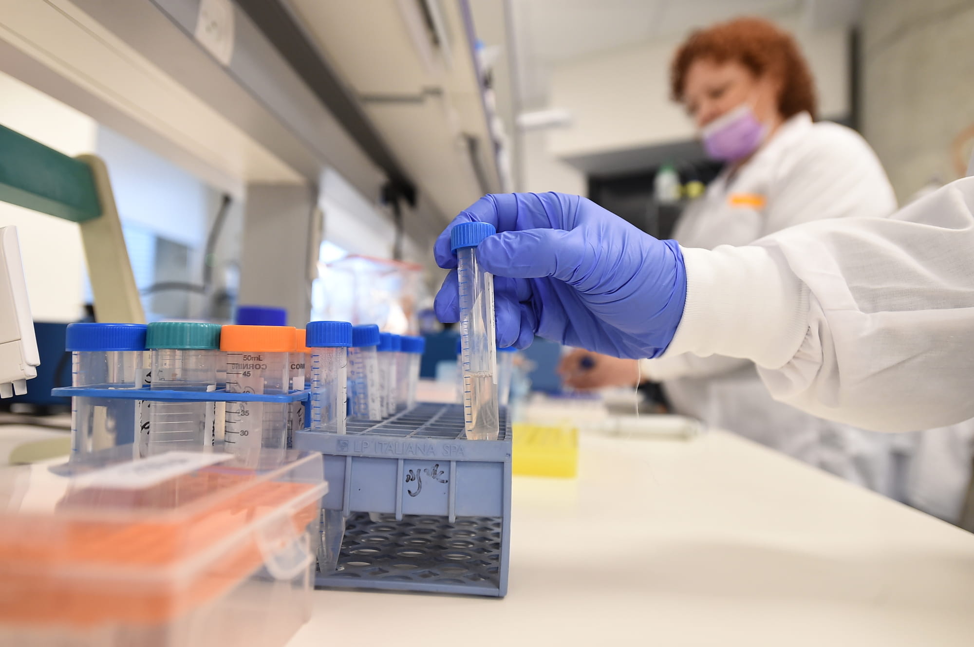 Empresa israelí Wilk producirá leche cultivada para bebés sin usar animales