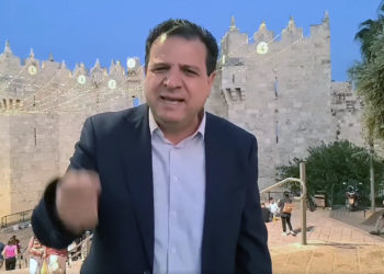 Parlamentario Ayman Odeh llama a los soldados árabes israelíes a rebelarse