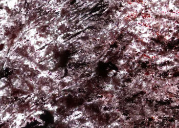Científicos creen haber encontrado la vida más antigua de la Tierra: 4.200 millones de años