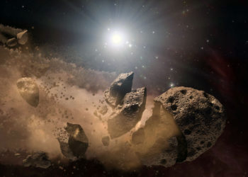 Científicos encuentran pata de un dinosaurio que murió por el gran asteroide