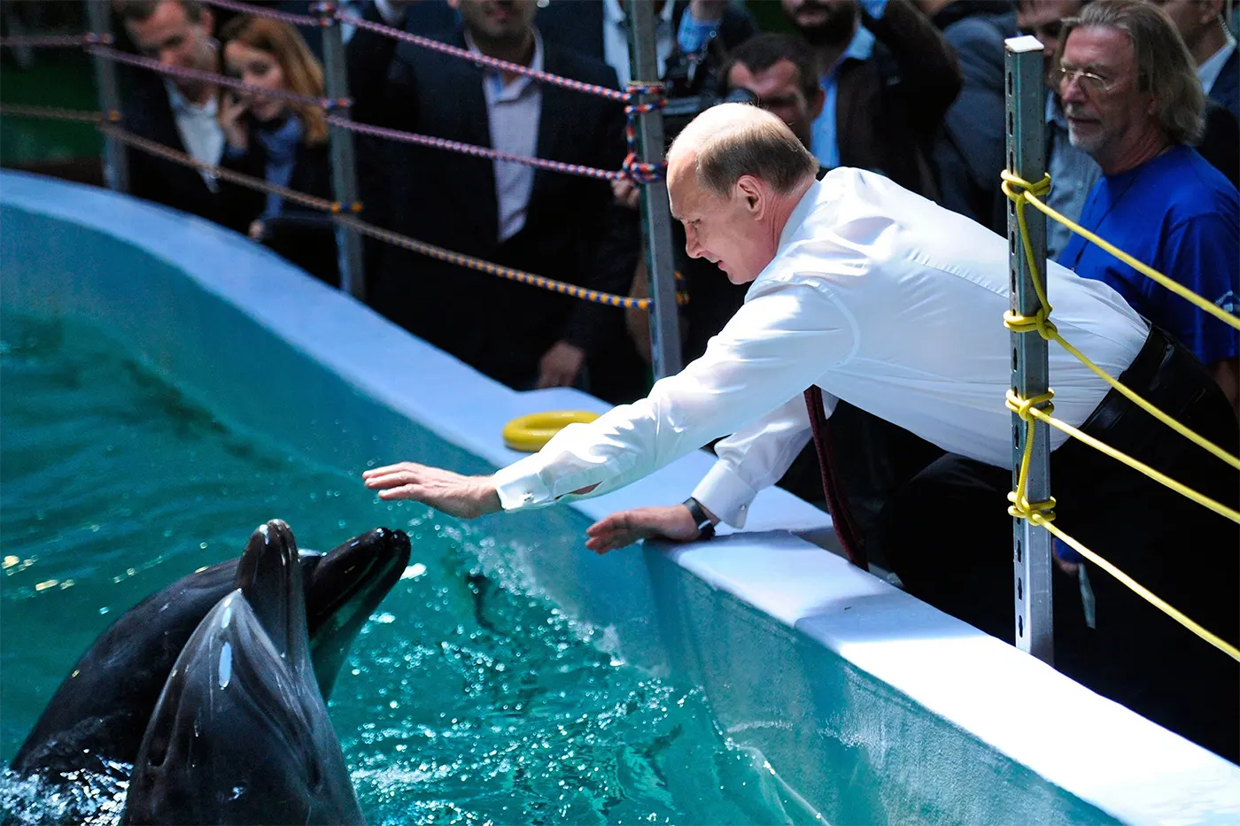 Rusia despliega delfines entrenados para proteger base naval del Mar Negro