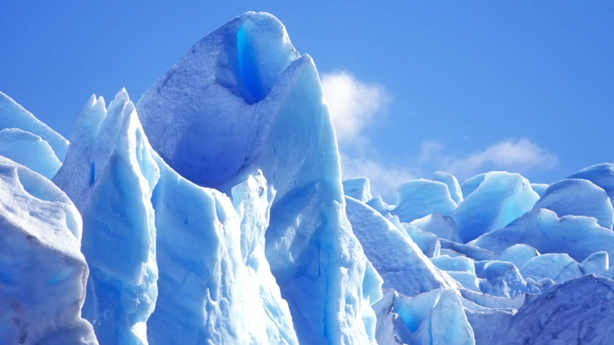 El tamaño del cerebro es un factor importante para sobrevivir a la Edad de Hielo