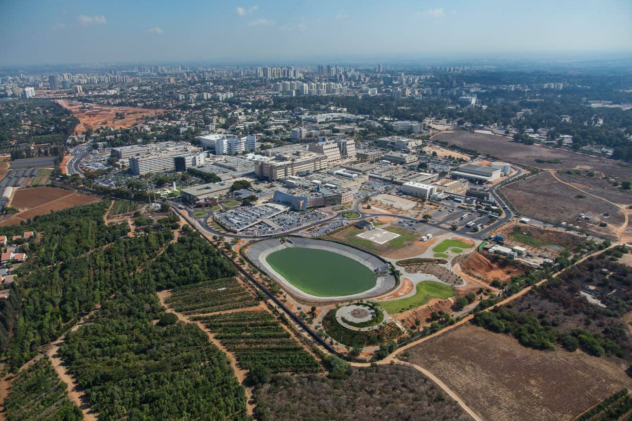 Médicos israelíes descubren por primera vez que las “hormiguitas de fuego” ponen en peligro la vida