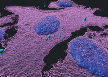 ¿Por qué los pacientes con cáncer reciben consejos inexactos?