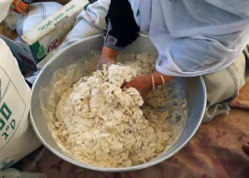 Los molinos de harina de Gaza se hunden por el conflicto ruso-ucraniano