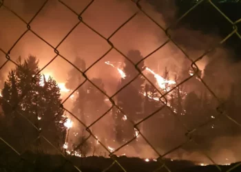 Cinco hospitalizados por inhalación de humo de un incendio forestal en Jerusalén