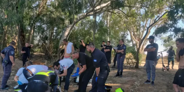 El lugar del incidente en el lago del desfiladero en Rishon Lezion Foto: La agencia de seguridad de Rishon Lezion