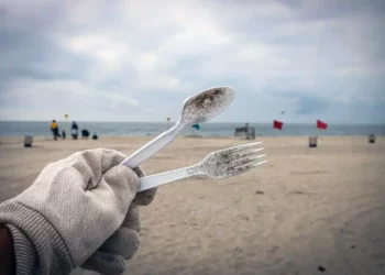 La coalición aprueba la prohibición de los productos desechables en las playas