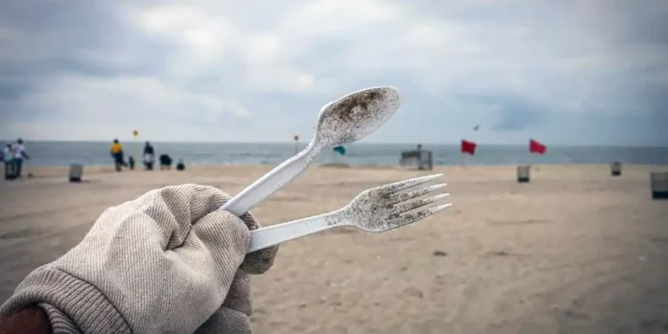 La coalición aprueba la prohibición de los productos desechables en las playas
