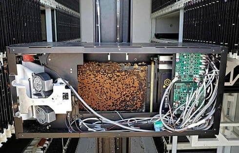 Colmenas robotizadas del kibutz israelí esperan mantener el zumbido de las abejas