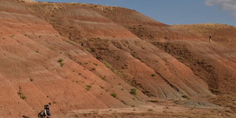 Fósiles hallados en Sudáfrica tendrían más de un millón de años de antigüedad