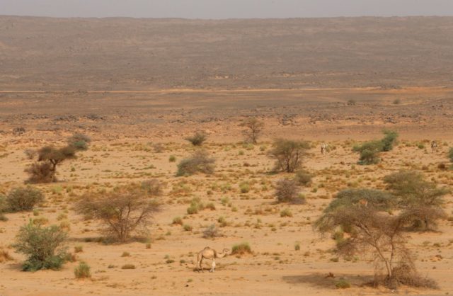 Oriente Medio se está quedando sin agua